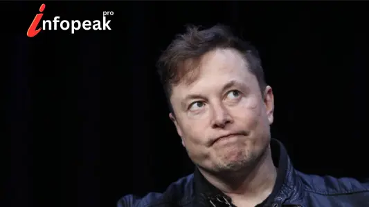 Elon Musk networth downfall